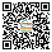 長沙彩藝光電科技有限公司,長沙光電科技,光電產(chǎn)品生產(chǎn)企業(yè),LED顯示屏銷售,雙色顯示屏生產(chǎn)